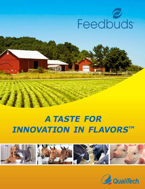 Feedbuds Brochure