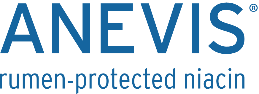 Aneivs Logo