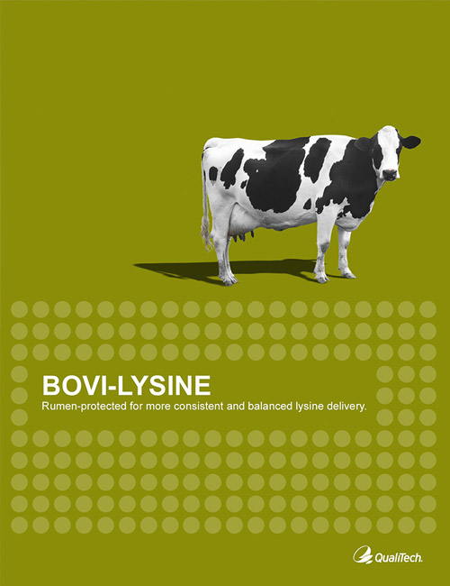 Bovi-Lysine Brochure Cover