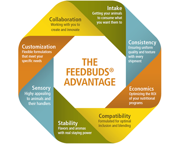 The Feedbuds Advantage Diagram