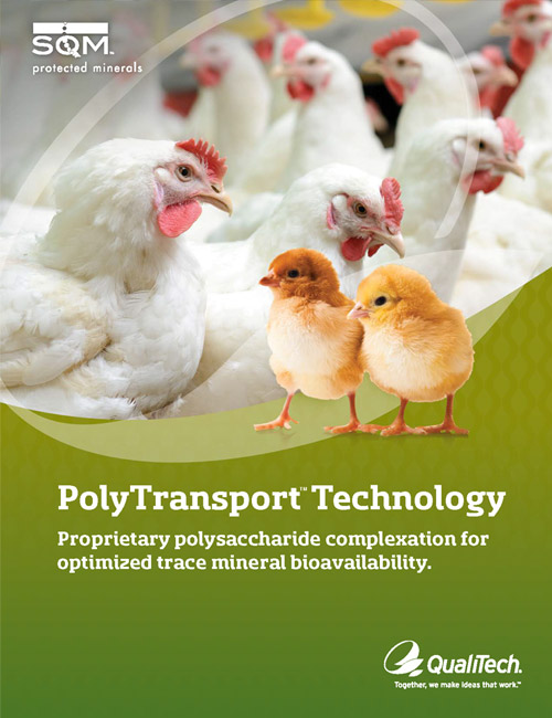 SQM PolyTransport Technology Brochure Cover