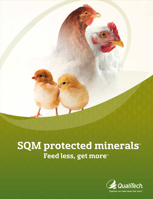 SQM Protected Minerals Brochure Cover