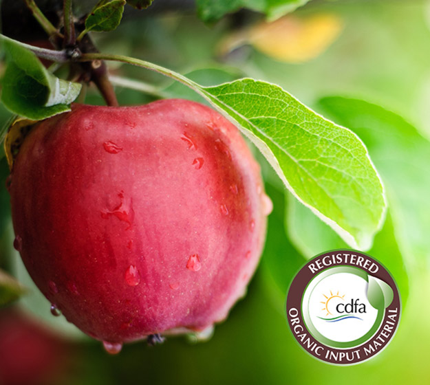 Apple on a tree with cdfa Registered Organic Input Material logo