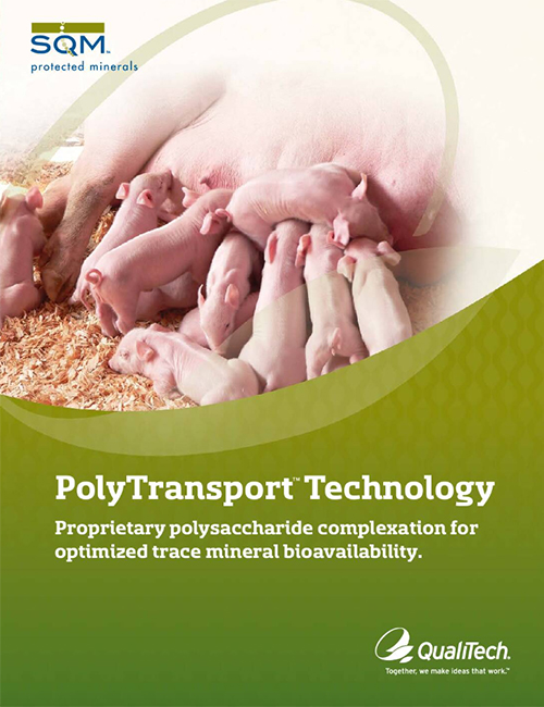 Poly Transport Technology Swine Brochure