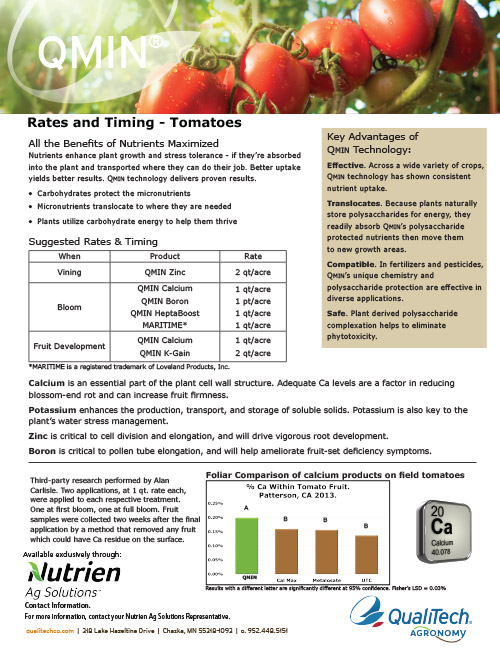 Tomatoes Rates and Timings Sheet
